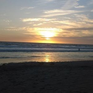 Meet your Posher, Nicolette